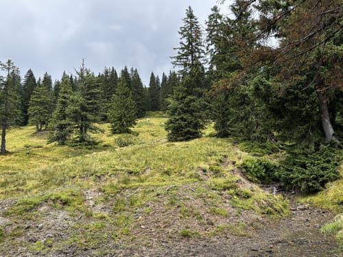 Weiherkopf Rundwanderung