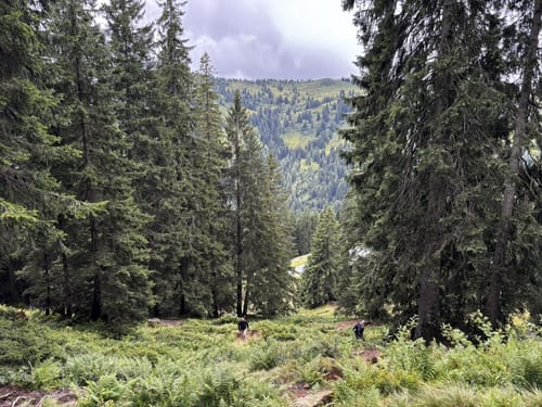 Weiherkopf Rundwanderung