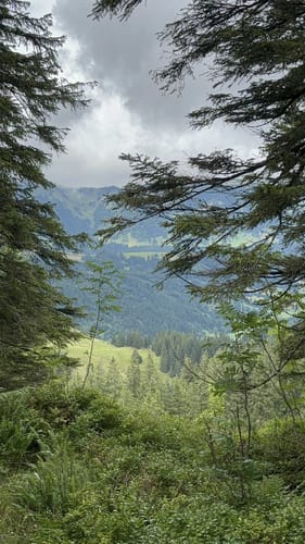 Weiherkopf Rundwanderung