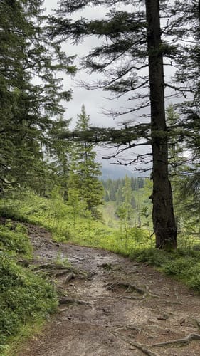 Weiherkopf Rundwanderung