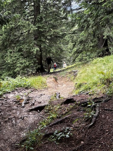 Weiherkopf Rundwanderung