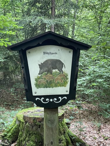 Rettershof - Braubachtal bei Hornau
