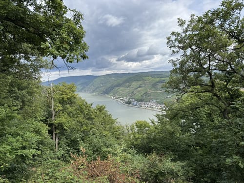 Morgenbachtal Rundweg ab Burg Rheinstein