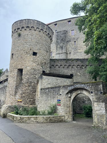 Neckarsteig Etappe 9: Gundelsheim - Bad Wimpfen