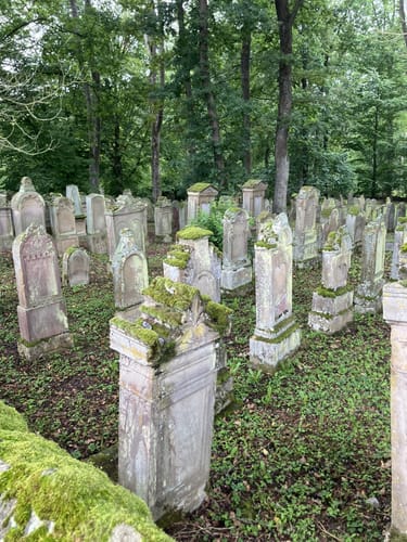 Neckarsteig Etappe 9: Gundelsheim - Bad Wimpfen
