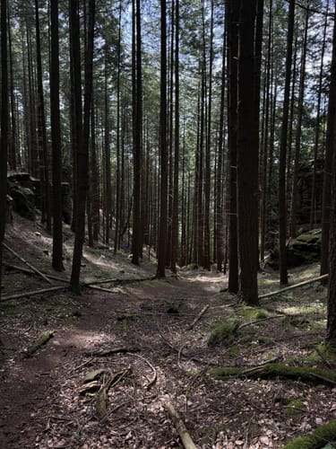 Felsenweg 5 - Prümer Burg (NaturWanderPark delux)