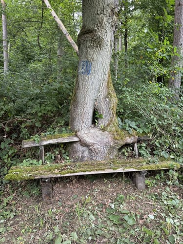 Felsenweg 5 - Prümer Burg (NaturWanderPark delux)