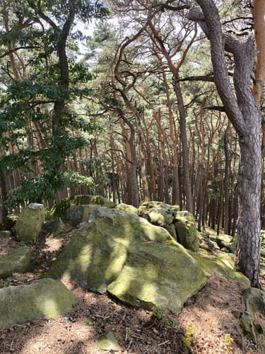 Maikammer Wanderparkplatz Breitenberg - Rundweg Nr. 1