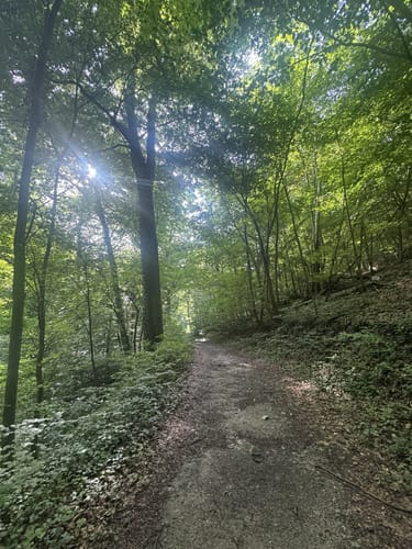 Durch die Ungeheuerklamm