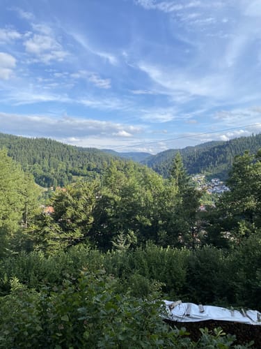 Schiltach - Häberleskopf