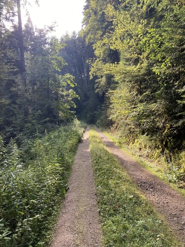 Schiltach - Häberleskopf