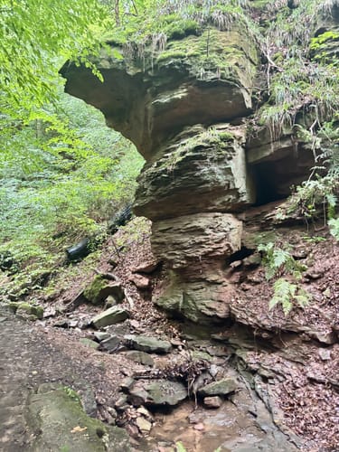 Erlenbach - Klingenberg