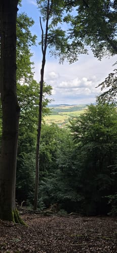 Wolfstein - Gipfelsteig zum Königsberg