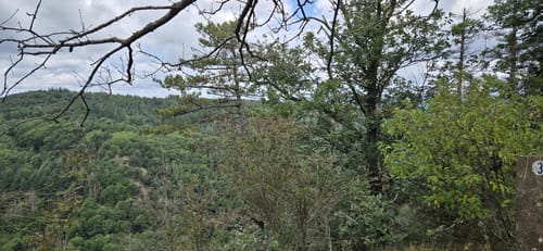 Wolfstein - Gipfelsteig zum Königsberg