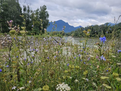 Nordic Walking Seilenau