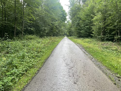 Roter Weg vom Bodentor