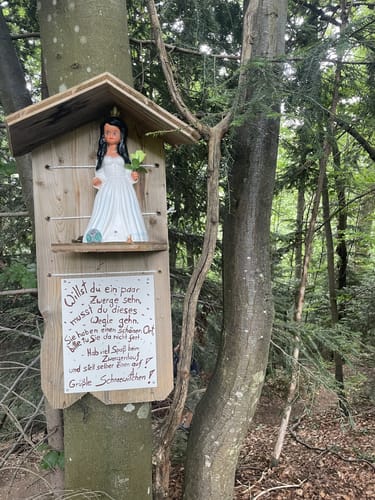 Zum Unteren Fuchsfelsen im Glottertal