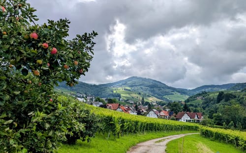 Alde Gott Panoramarunde (Genießerpfad)