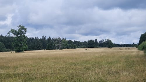 Wildburg Runde