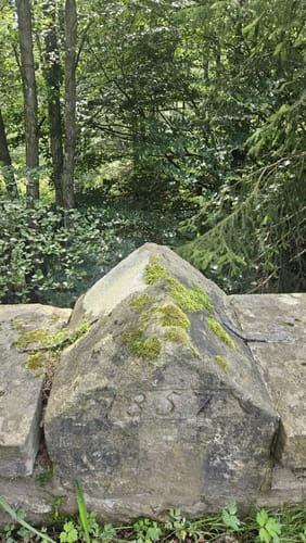 Wildburg Runde