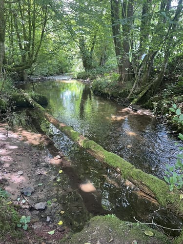 Weitenau - Hofen - Häfnet
