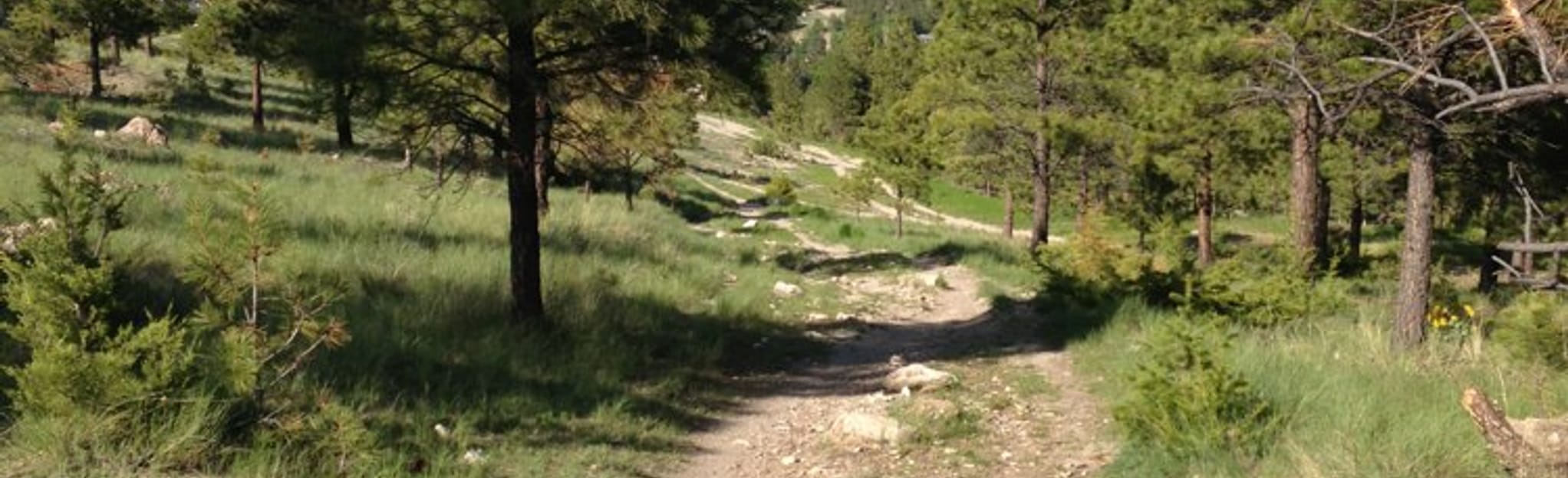 Archery Range Trail 15 Reviews, 27 Photos, Map Montana AllTrails