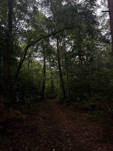 Teverener Heide Seenrundweg