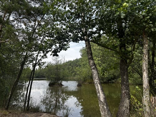 Teverener Heide Seenrundweg
