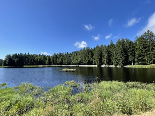 Großer Rundweg Steinklamm bei Spiegelau