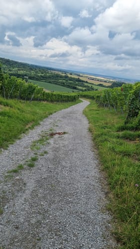 Mönchswald -Steinerner Tisch -Salzweg