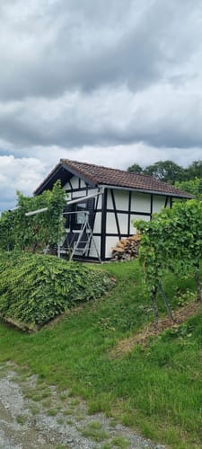 Mönchswald -Steinerner Tisch -Salzweg