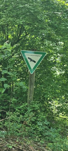 Mönchswald -Steinerner Tisch -Salzweg