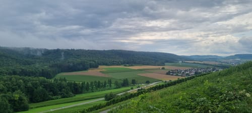 Mönchswald -Steinerner Tisch -Salzweg