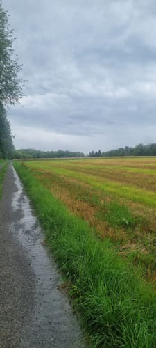 Mönchswald -Steinerner Tisch -Salzweg