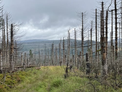 Rund um den Rehberg