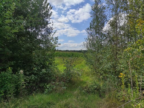 Pöppinghausen - Brandheide