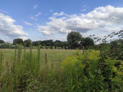 Pöppinghausen - Brandheide