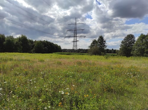Pöppinghausen - Brandheide