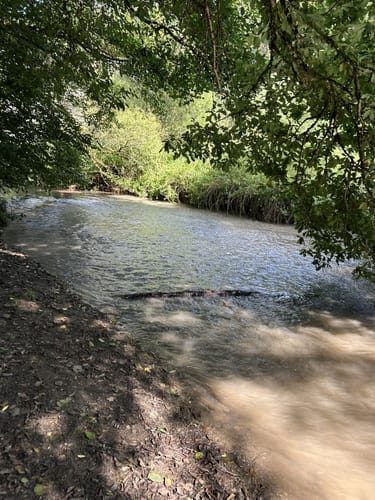 Eisenbachtal (WällerTour)