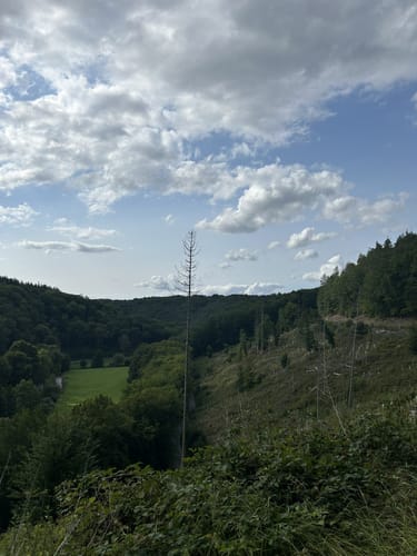 Eisenbachtal (WällerTour)
