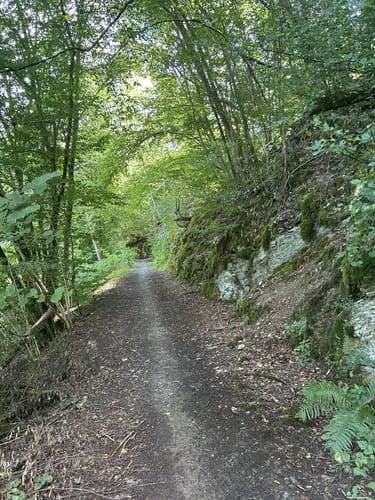 Eisenbachtal (WällerTour)