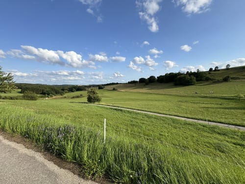 Zwischen Gunderath und Sassen