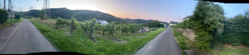 Rund um Pünderich