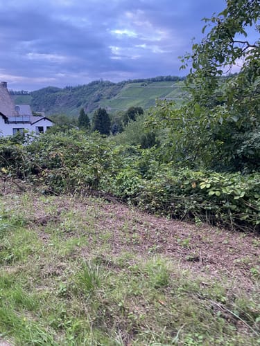 Rund um Pünderich