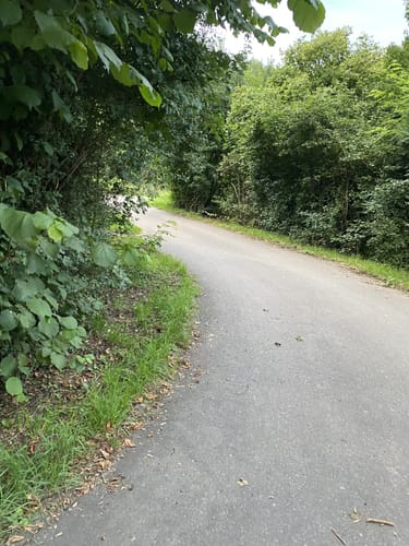 Rund um Pünderich