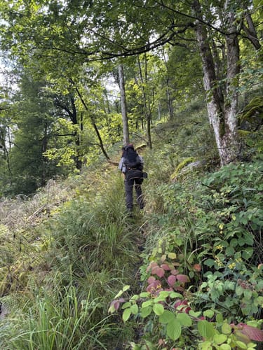 Rund um den Rehberg
