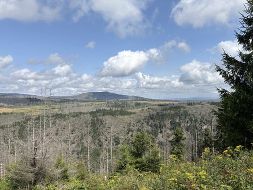 Rund um den Rehberg
