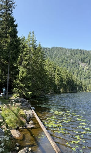 Großer Arbersee Rundweg