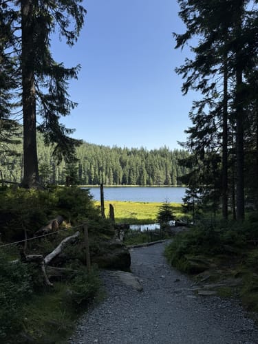 Großer Arbersee Rundweg