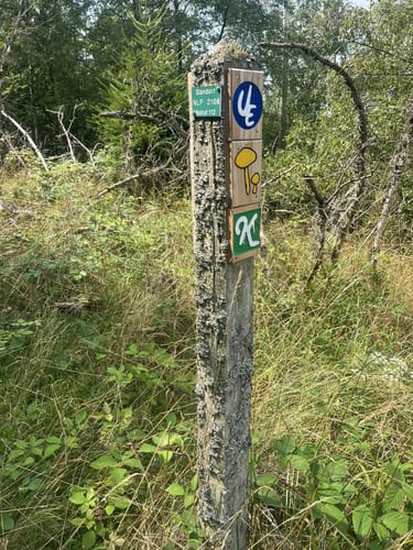 Ringelsberg-Route